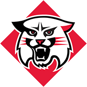 Davidson Wildcats