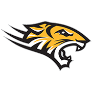 Towson Tigers