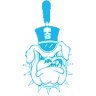 The Citadel Bulldogs