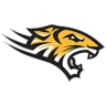 Towson Tigers