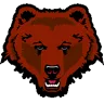 Brown Bears
