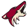 Arizona Coyotes
