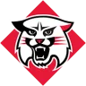 Davidson Wildcats
