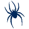 Richmond Spiders